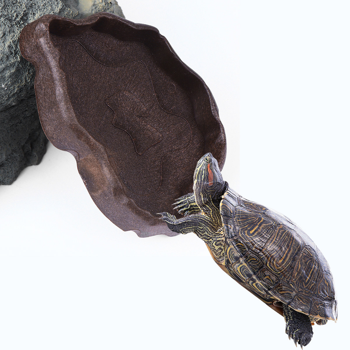 Water Dish Reptile - 파충류 레진 사료 접시 커피 사이즈
