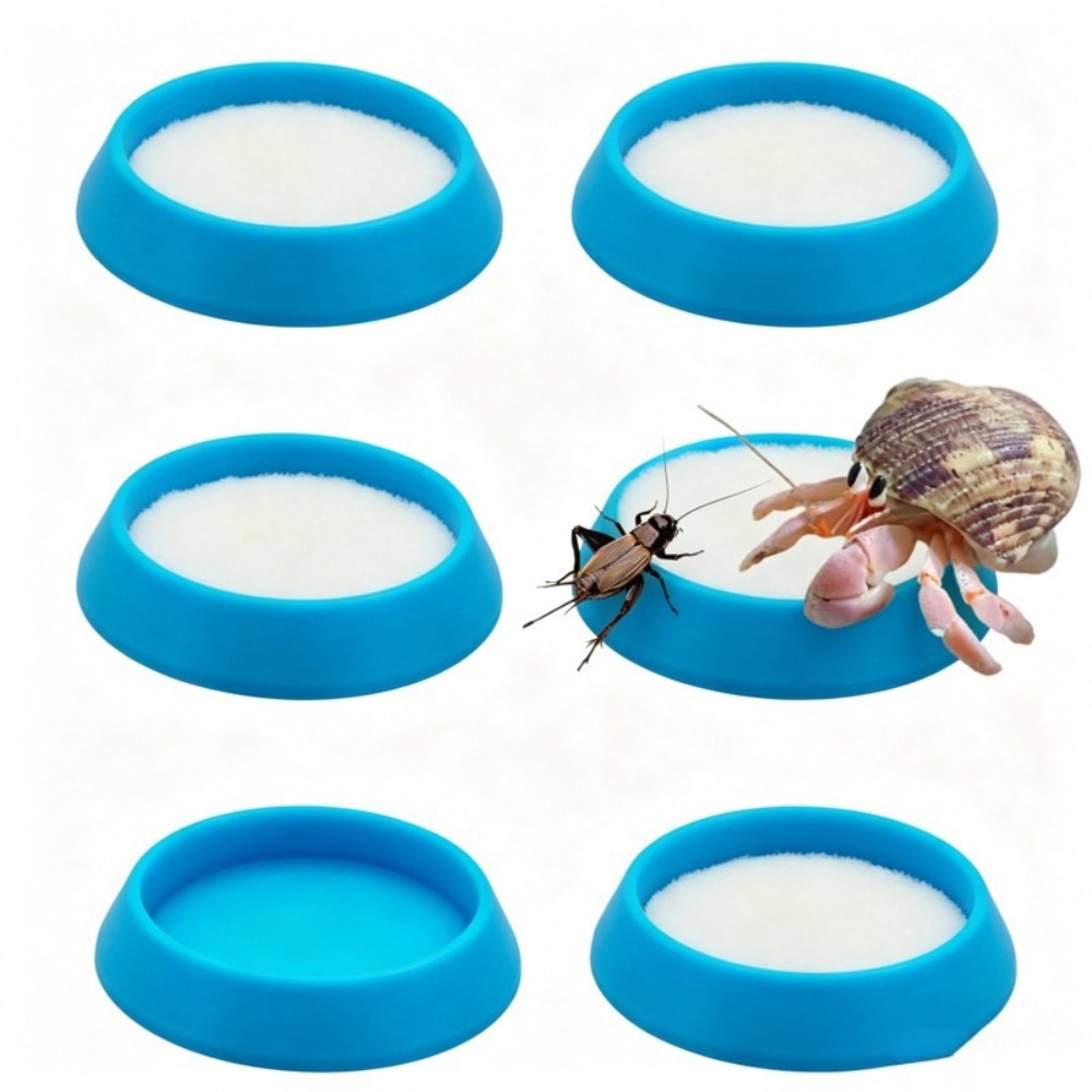 Water Dish Reptile - 6pcs 휴대용 재사용 가능한 파충류 먹이