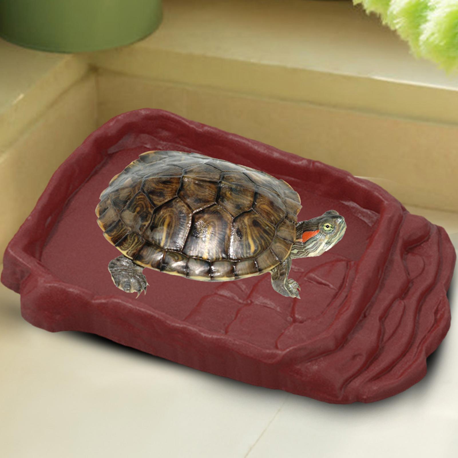 Water Dish Reptile - 거북이 욕조 물통 미끄럼 방지 사다리