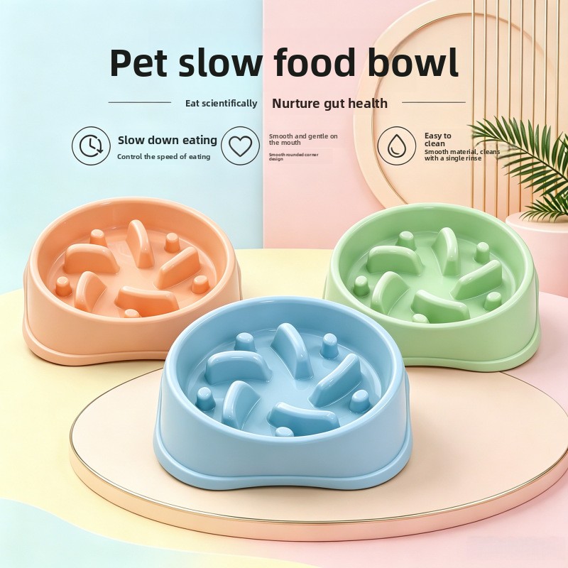1/3개 논슬립 슬로우 피더 강아지 식기 대용량 질식  - Royal Canin Food Medium 리뷰 및 가격