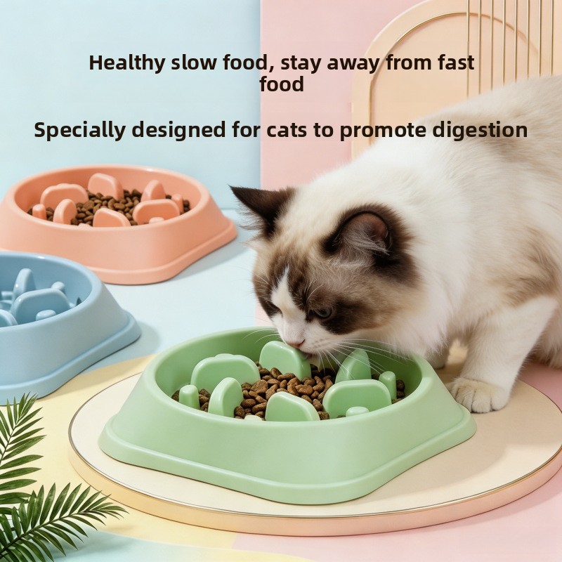 1/3개 논슬립 슬로우 피더 강아지 식기 대용량 질식  - Royal Canin Food Medium 리뷰 및 가격