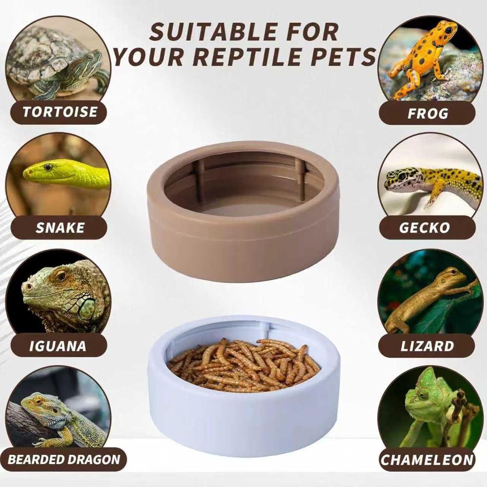휴대용 탈출방지 파충류 먹이 접시 넘어지지 않는 컴팩트 - Water Dish Reptile 리뷰 및 가격