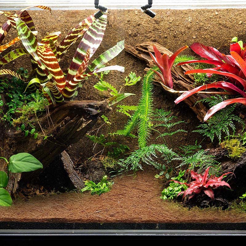 AB33-천연 코코넛 섬유 매트, 파충류 카펫, 도마뱀 - Substrate Coconut Fiber 리뷰 및 가격