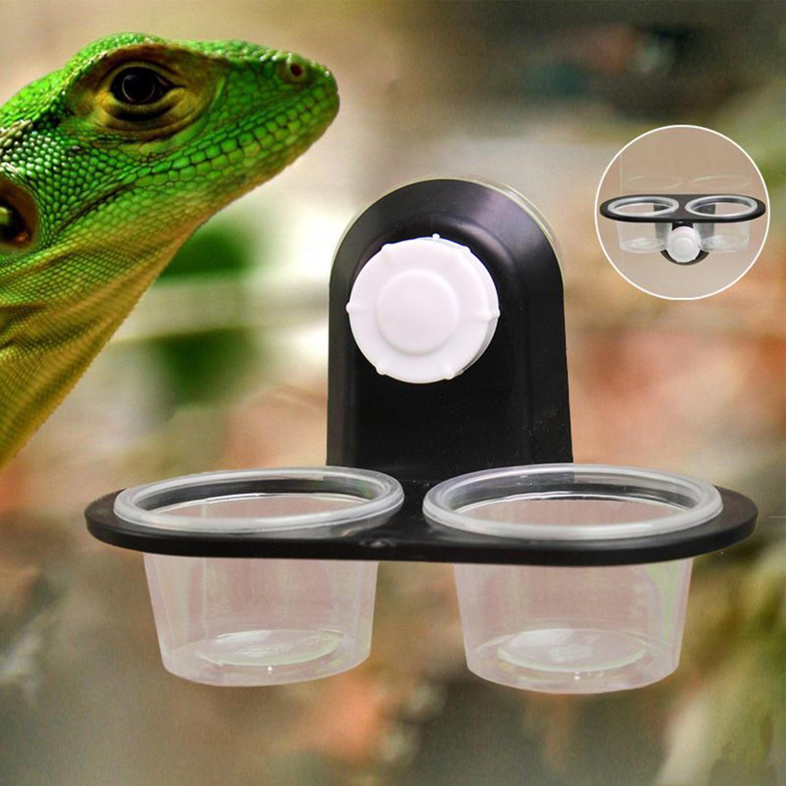 게코 먹이 접시 게코 먹이통 디스펜서 편리한 청소가 가 - Water Dish Reptile 리뷰 및 가격