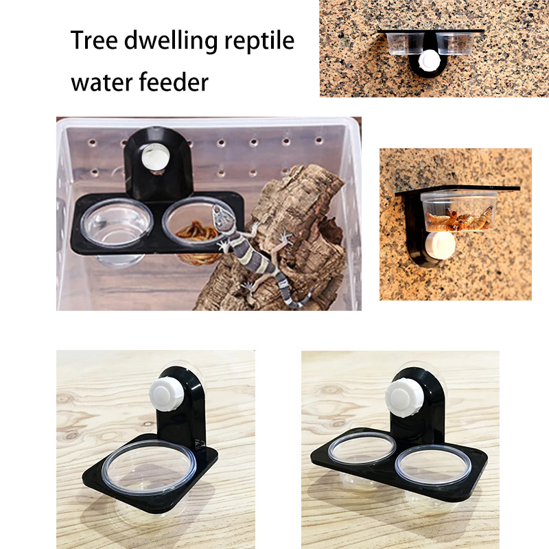 파충류 탱크 액세서리 곤충 거미 개미 둥지 뱀 도마뱀  - Water Dish Reptile 리뷰 및 가격