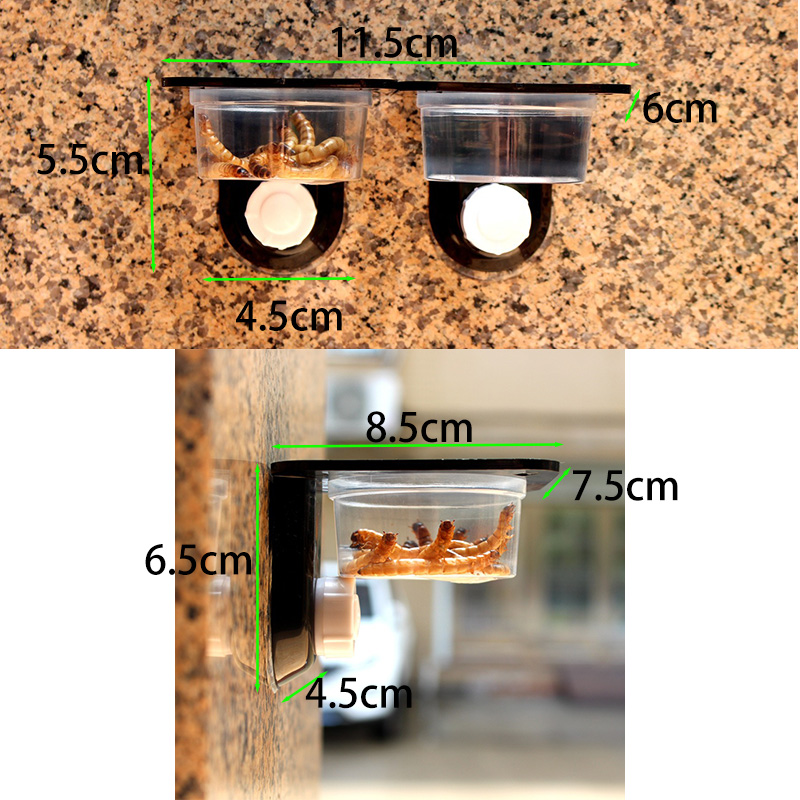 파충류 탱크 액세서리 곤충 거미 개미 둥지 뱀 도마뱀  - Water Dish Reptile 리뷰 및 가격