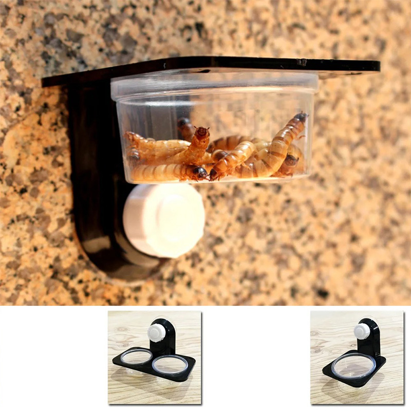 파충류 탱크 액세서리 곤충 거미 개미 둥지 뱀 도마뱀  - Water Dish Reptile 리뷰 및 가격