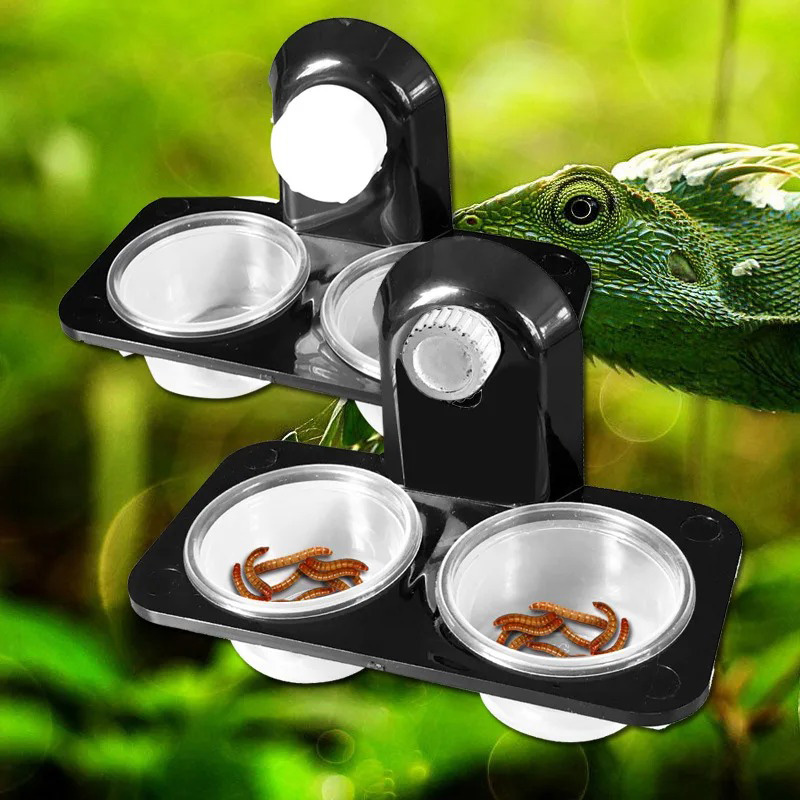 파충류 탱크 액세서리 곤충 거미 개미 둥지 뱀 도마뱀  - Water Dish Reptile 리뷰 및 가격