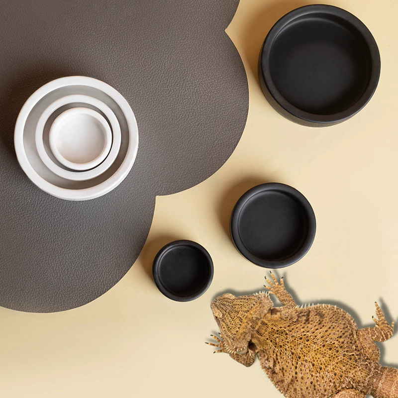 뜨거워요! 파충류 사료 그릇 탈출 방지 세라믹 급식기  - Water Dish Reptile 리뷰 및 가격