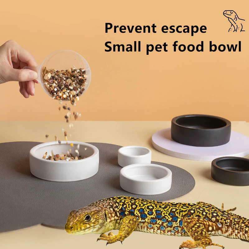 뜨거워요! 파충류 사료 그릇 탈출 방지 세라믹 급식기  - Water Dish Reptile 리뷰 및 가격