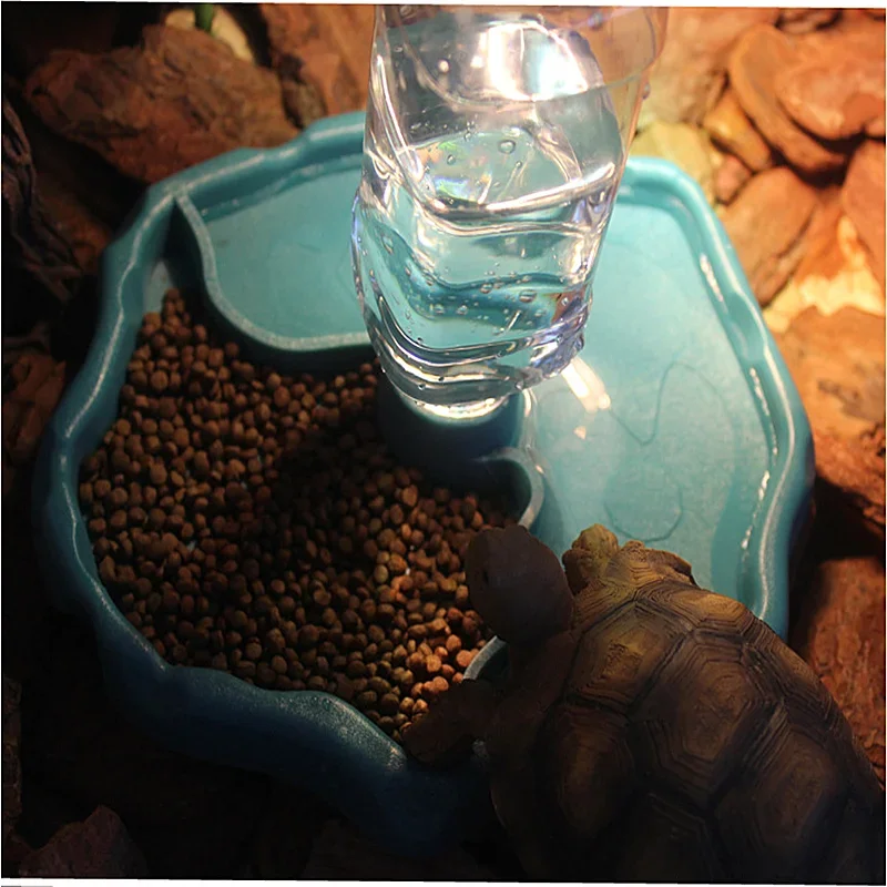 애완 파충류 급식기 2 in 1 자동 물/사료 급여 접 - Water Dish Reptile 리뷰 및 가격