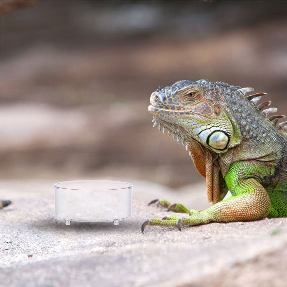 10Pcs 아크릴 파충류 음식 접시 먹이 그릇 물통 컨 - Water Dish Reptile 리뷰 및 가격