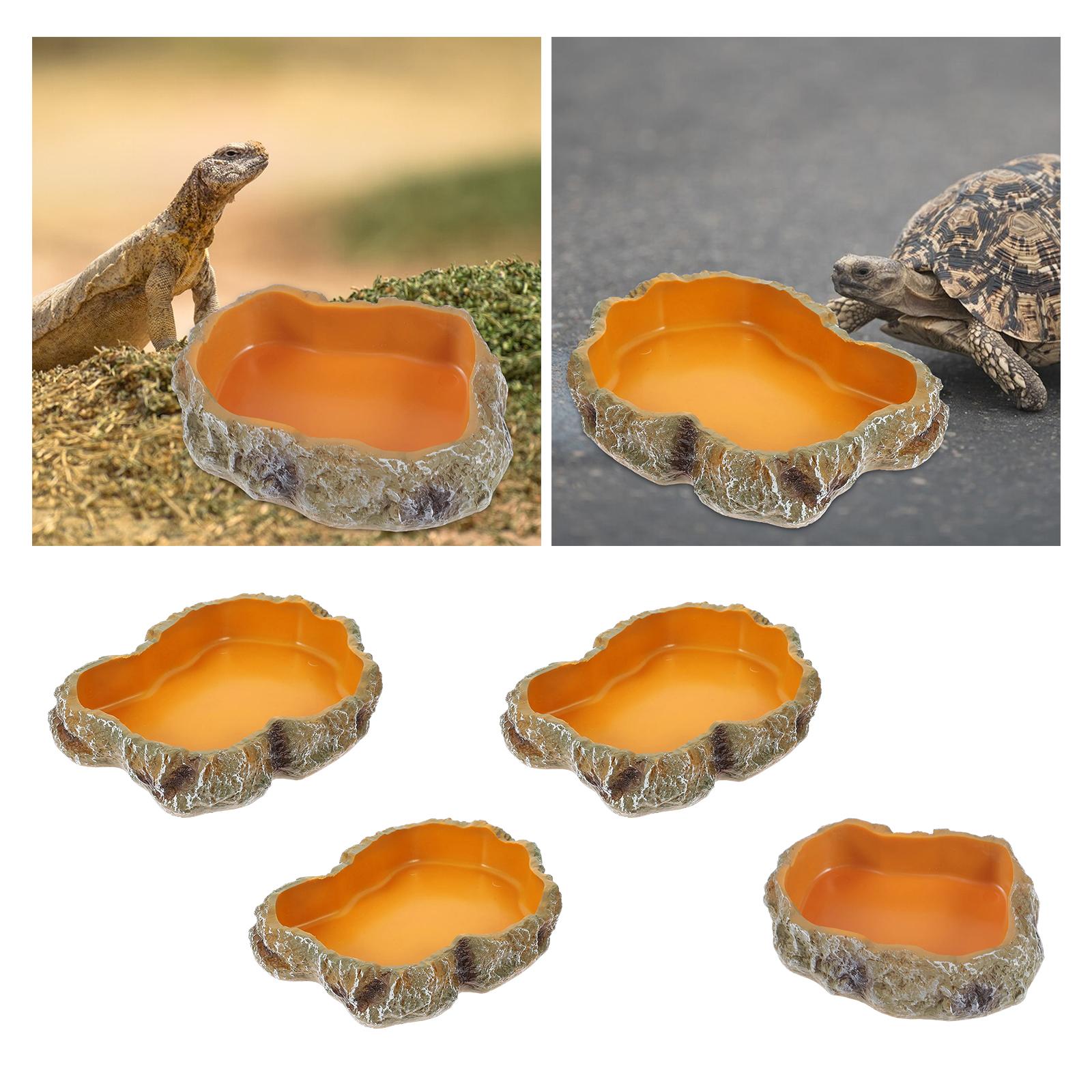 파충류 물 그릇 장식 테라리움 서식지 장식 개구리 거북 - Water Dish Reptile 리뷰 및 가격