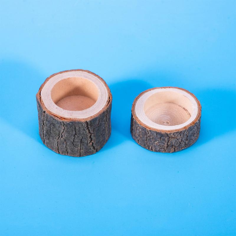 거북이 물 접시 파충류 먹이 접시 천연 나무 디자인 수 - Water Dish Reptile 리뷰 및 가격