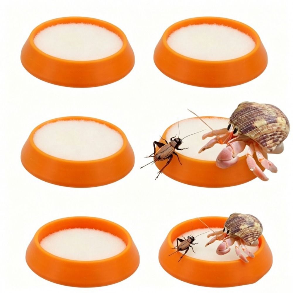 6pcs 휴대용 재사용 가능한 파충류 먹이 접시 미니  - Water Dish Reptile 리뷰 및 가격