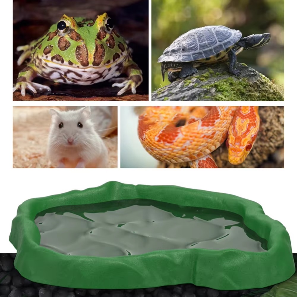 ABS 수지 파충류 먹이통 모조 암석 디자인 안전하고  - Water Dish Reptile 리뷰 및 가격