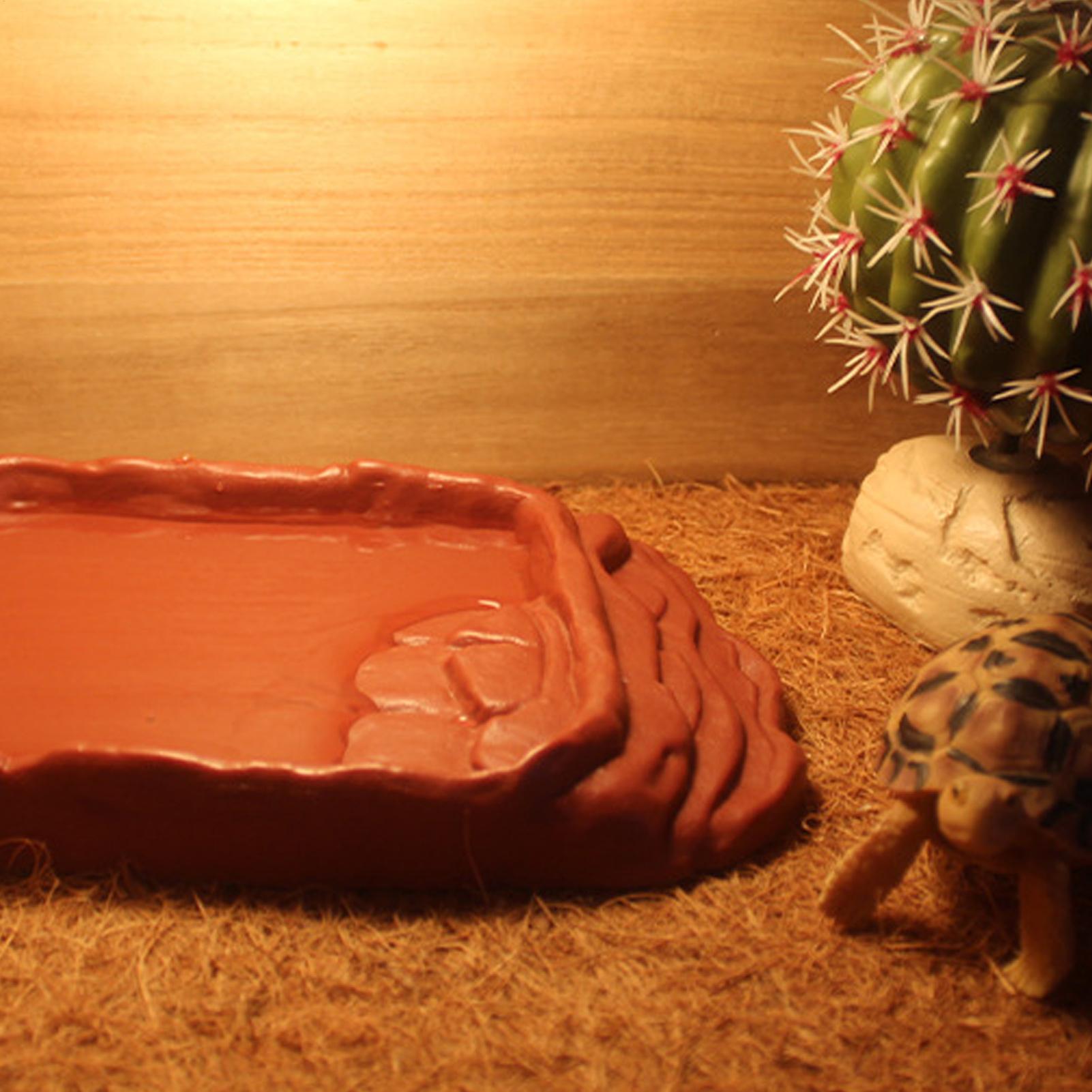 거북이 욕조 물통 미끄럼 방지 사다리 파충류 그릇 파충 - Water Dish Reptile 리뷰 및 가격