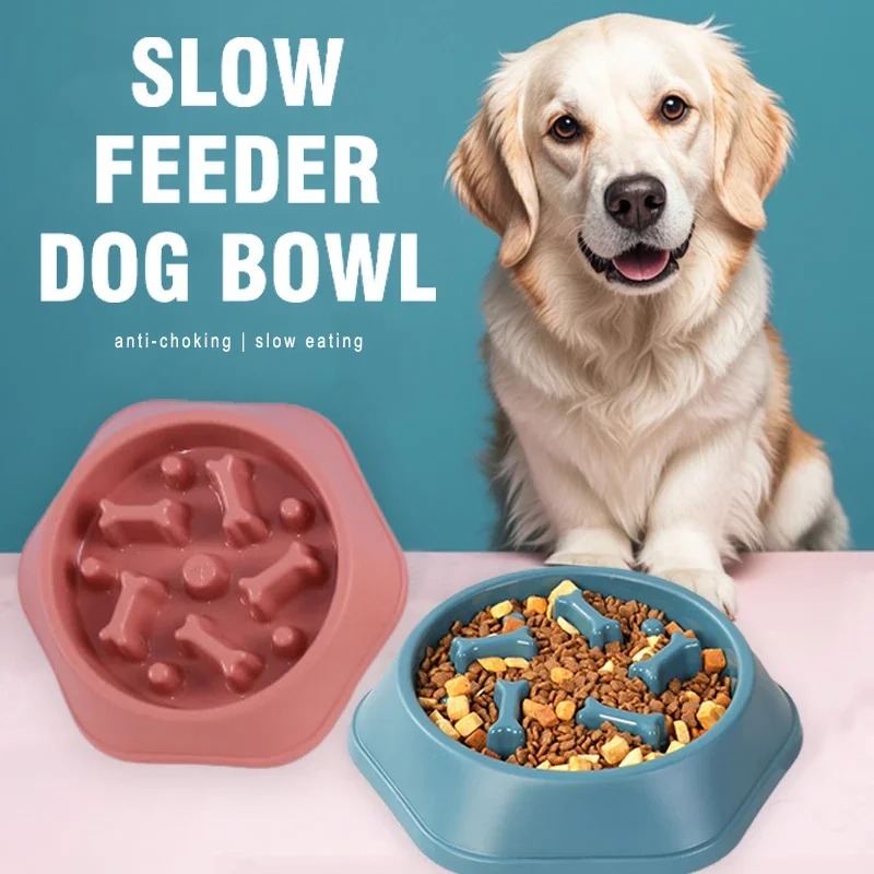 1개 슬로우 급식기 강아지 밥그릇, 질식 방지 퍼그 식 - Royal Canin Food Medium 리뷰 및 가격